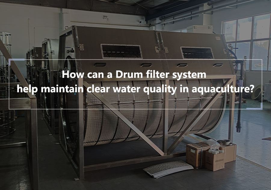 ¿Cómo puede un sistema de filtro de tambor ayudar a mantener la calidad del agua clara en la acuicultura?